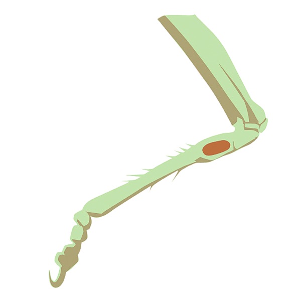 [Diagram på sidan 16]