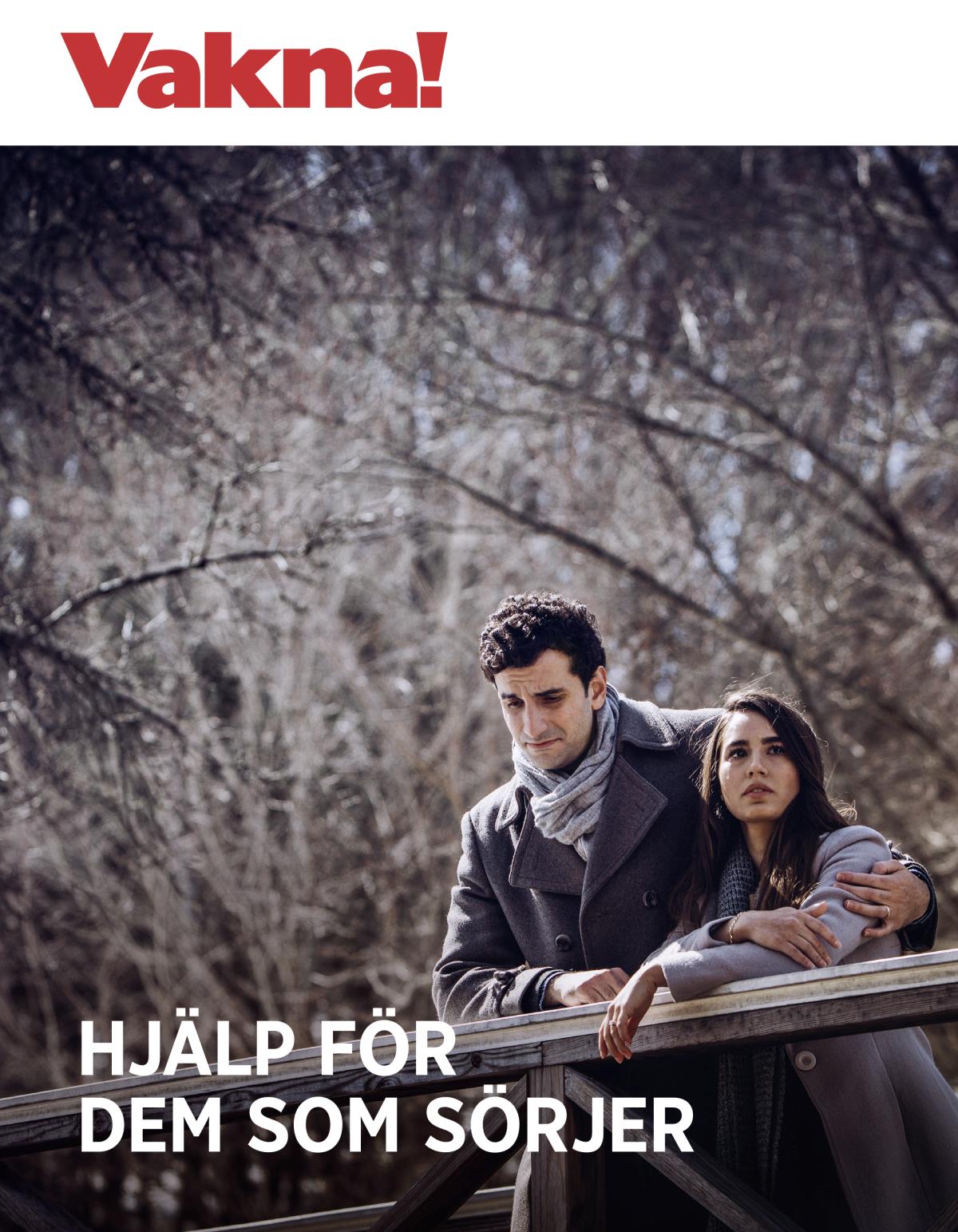 Vakna! nr 3 2018 | Hjälp för dem som sörjer