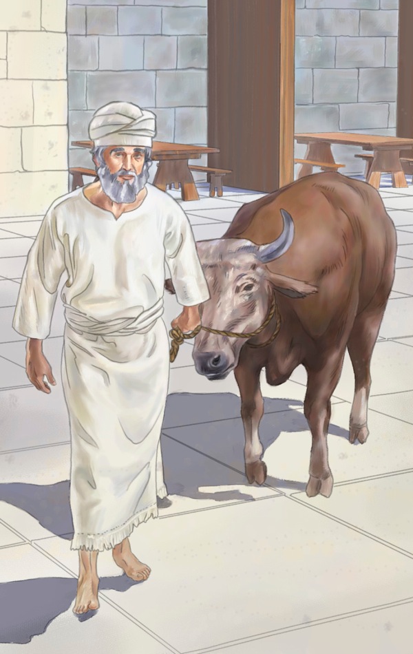 En präst i det forntida Israel leder ett offerdjur till altaret