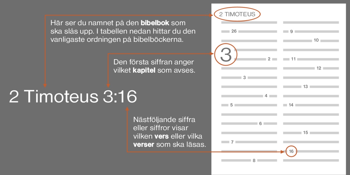 Så hittar du i Bibeln. Ett exempel med 2 Timoteus 3:16. Hänvisningen visar vilken bok du ska slå upp, till exempel 2 Timoteus (se listan nedan för den vanligaste ordningen för bibelböcker). Första siffran visar vilket kapitel det är, till exempel kapitel 3. Siffran eller sifforna som följer visar vilken vers du ska läsa, till exempel vers 16.