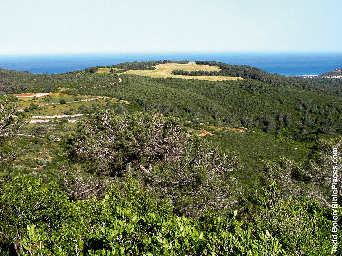 [Bild på sidan 950]