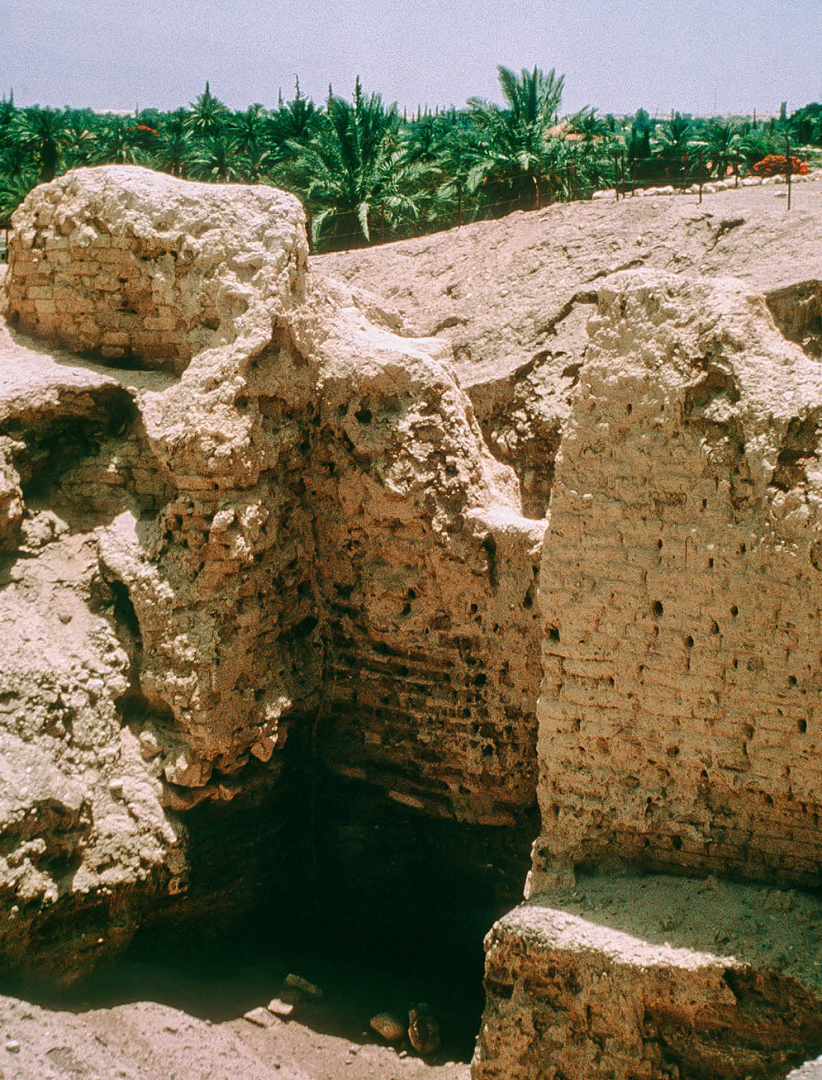 [Bild på sidan 1198]