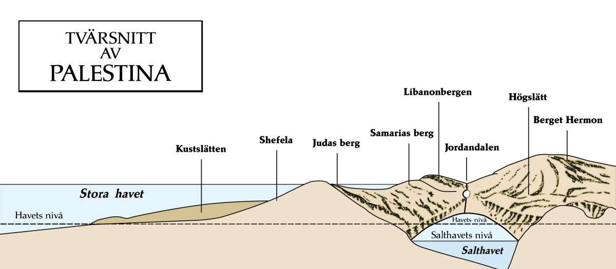 [Diagram på sidan 573]