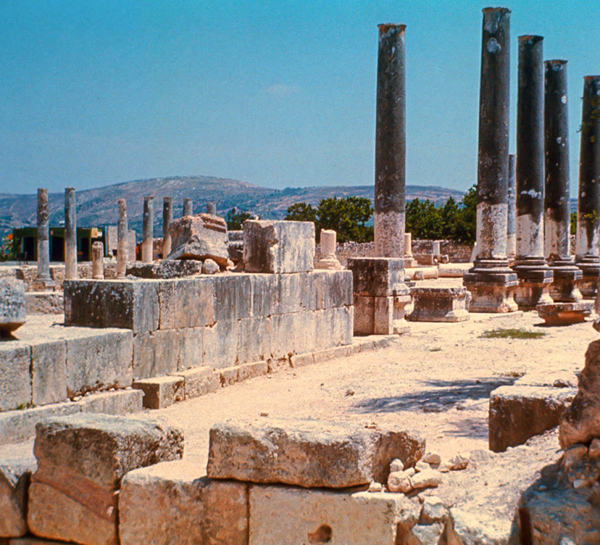 [Bild på sidan 782]