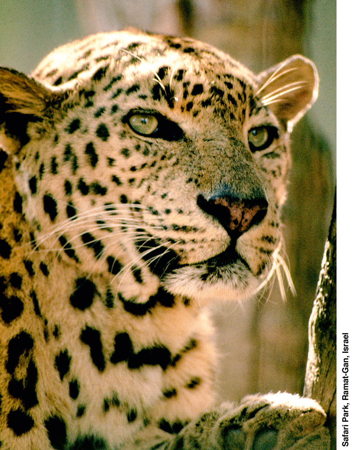 [Bild på sidan 210]