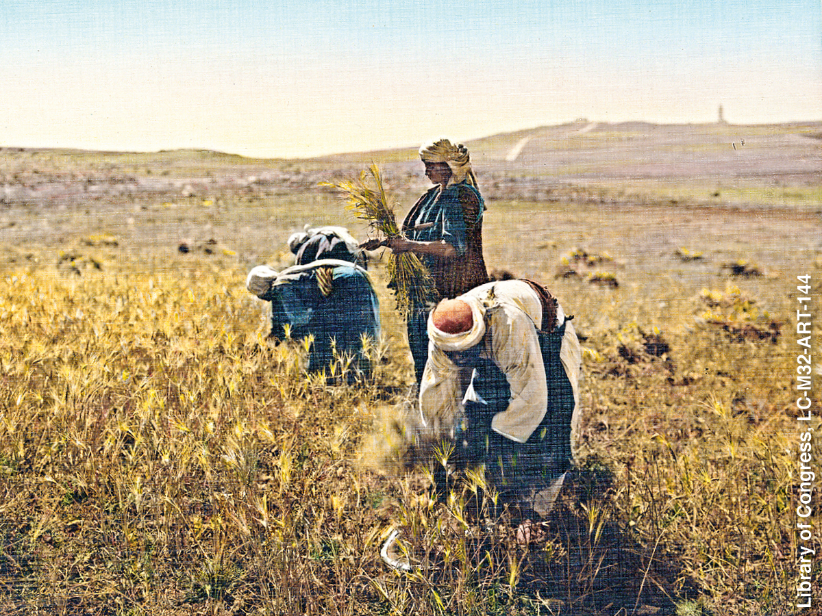 [Bild på sidan 953]