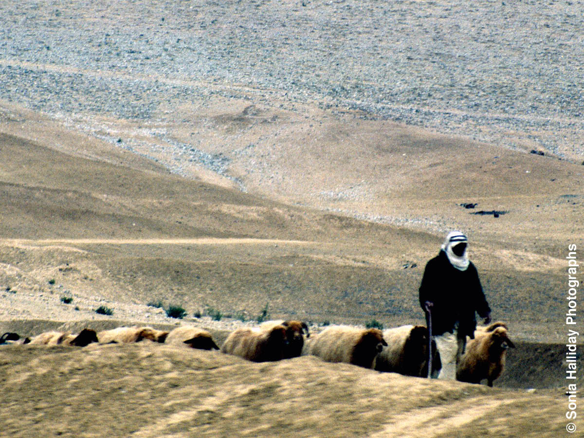 [Bild på sidan 954]