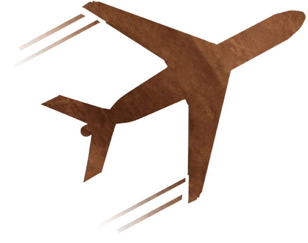 Ett flygplan som flyger.