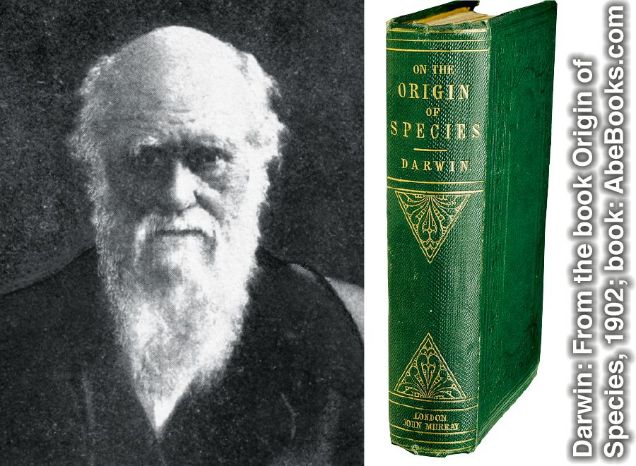 Charles Darwin och hans bok Om arternas uppkomst.