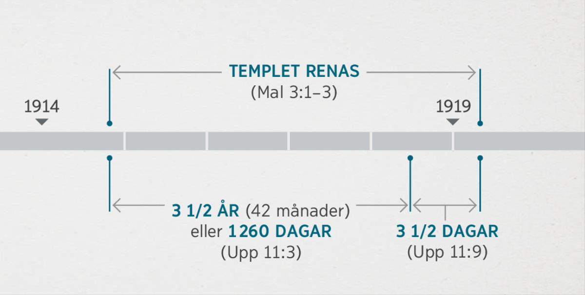 I Uppenbarelseboken 11:1, 2 kopplas dessa händelser samman med inspektionen och reningen av det andliga templet, som beskrivs i Malaki 3:1–3. Tidslinjen över profetiorna visar: reningen av templet från omkring slutet av 1914 till omkring början av 1919; tre och ett halvt år eller 1 260 dagar från omkring slutet av 1914 till omkring början av 1918; tre och en halv dag från omkring början av 1918 till omkring början av 1919.
