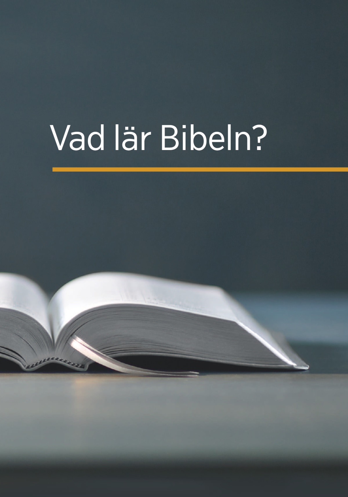 Boken ”Vad lär Bibeln?”