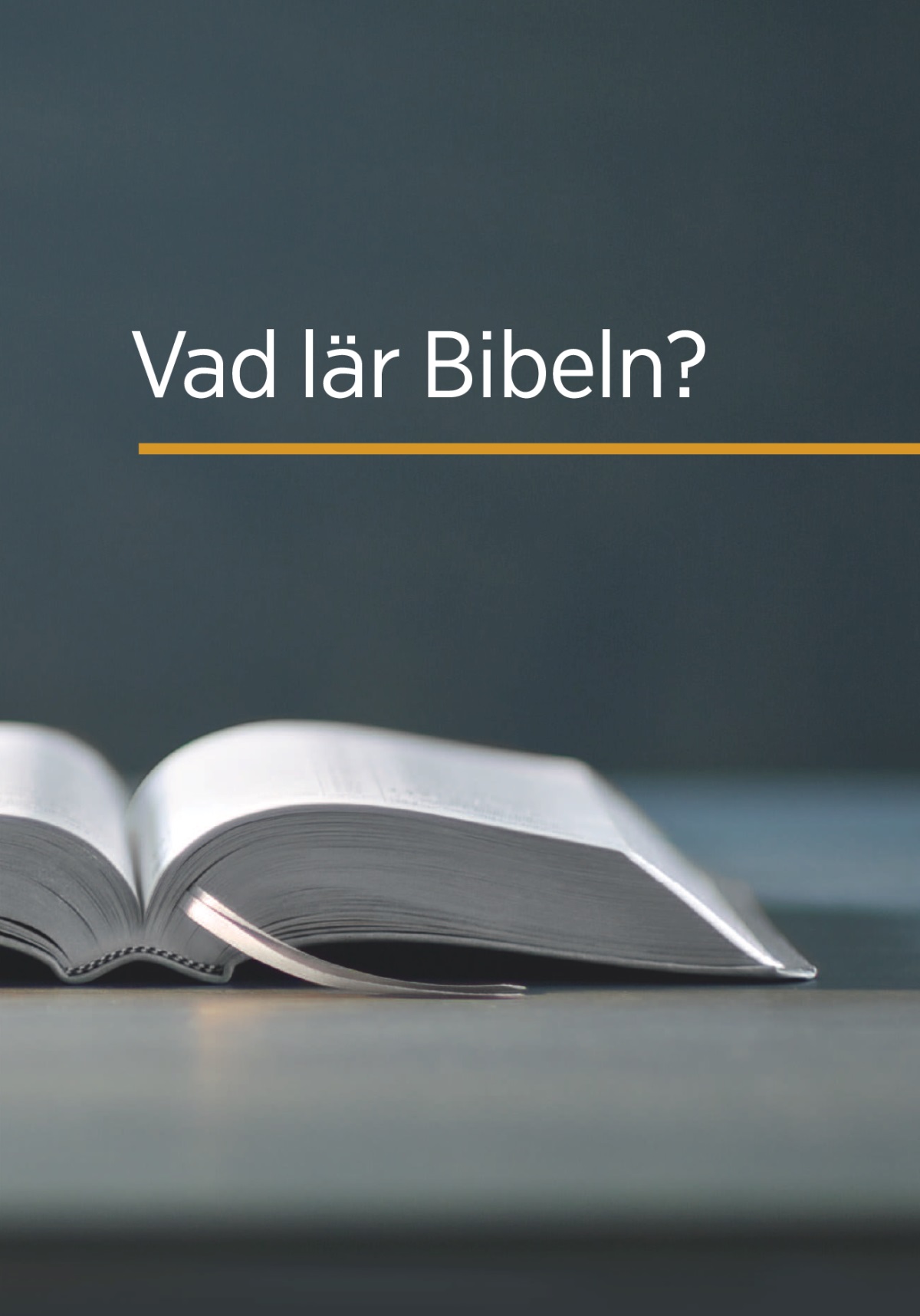 Boken ”Vad lär Bibeln?”.