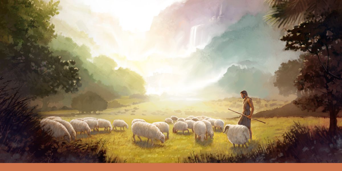 Abel tittar noga på sina får.