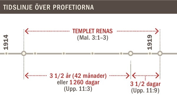Tidslinje över renandet av templet från 1914 till 1919.