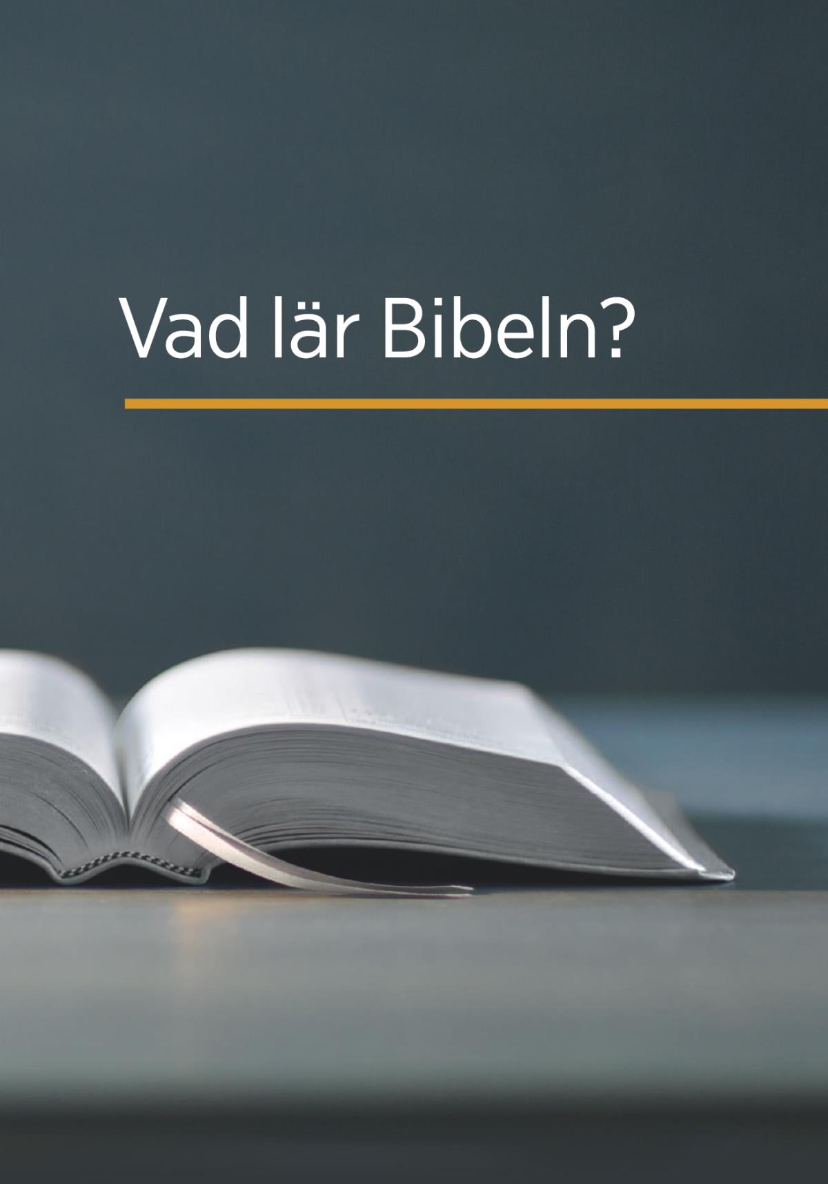 Vad lär Bibeln?