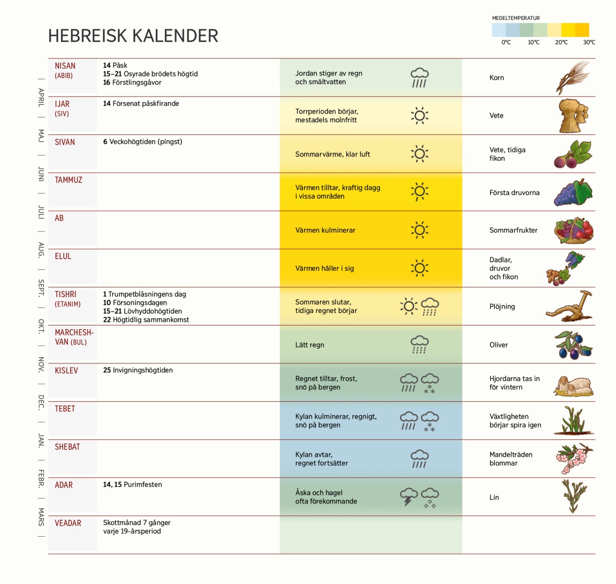 En översikt över månader, högtider och årstider i en hebreisk kalender. Den visar även vilket väder som var typiskt och vad som skulle skördas.