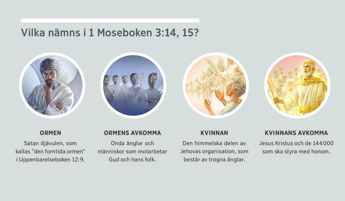 Collage: ”Vilka nämns i 1 Moseboken 3:14, 15?” 1. Ormen: Satan. 2. Ormens avkomma: onda änglar. 3. Kvinnan: trogna änglar. 4. Kvinnans avkomma: Jesus Kristus och de smorda som ska regera med honom. Bilderna återkommer i paragraf 4, 5, 7 och 8.