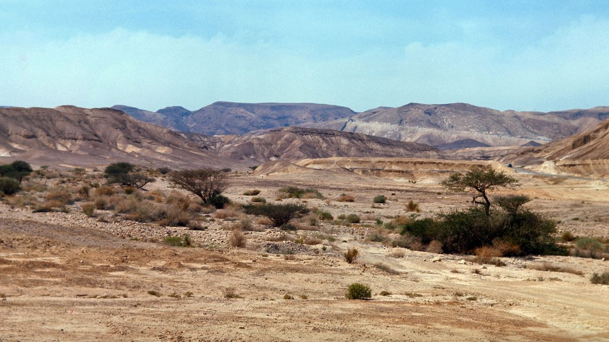 Negevöknen i Israel. Den karga terrängen består mestadels av jord, sten, raviner och sanddyner.