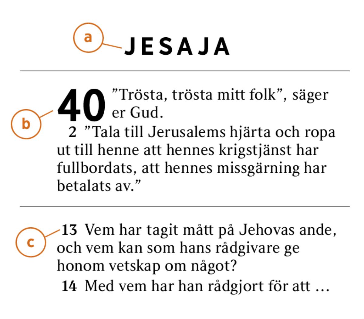 Ett stycke ur Bibeln visas för att man ska veta hur man hittar 1) bibelboken, 2) kapitlet och 3) versen.