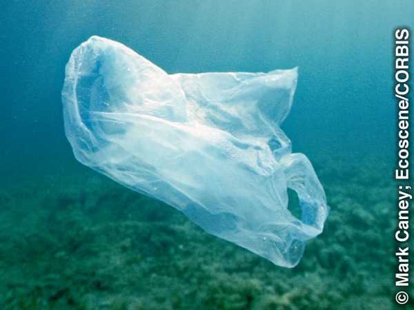 Mfuko wa plastiki ukielea baharini
