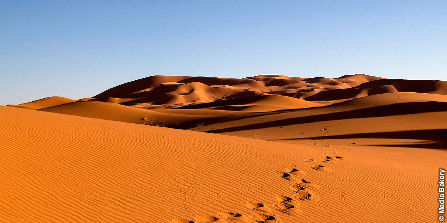 Jangwa la Sahara
