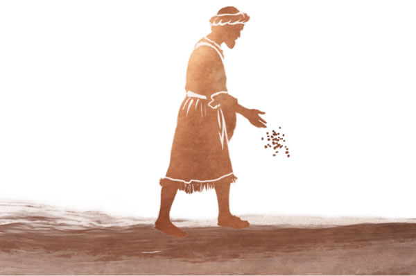 Mwanaume akipanda mbegu