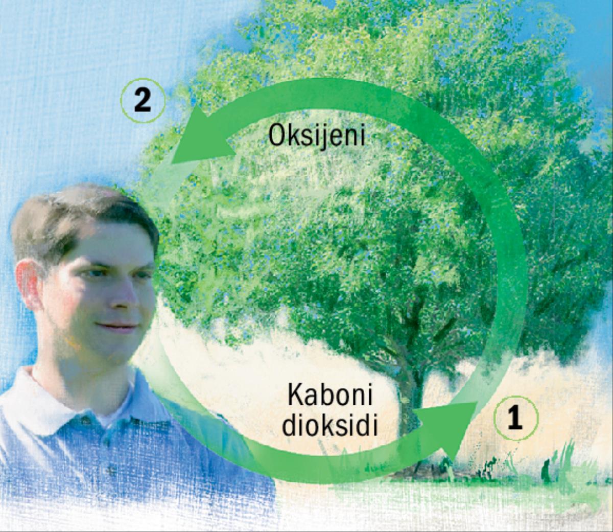 Mizunguko ya kaboni na oksijeni