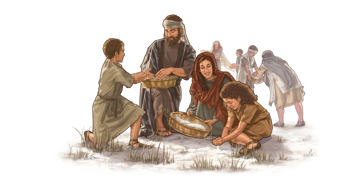 Familia ya Waisraeli na wengine wakikusanya mana nyikani.