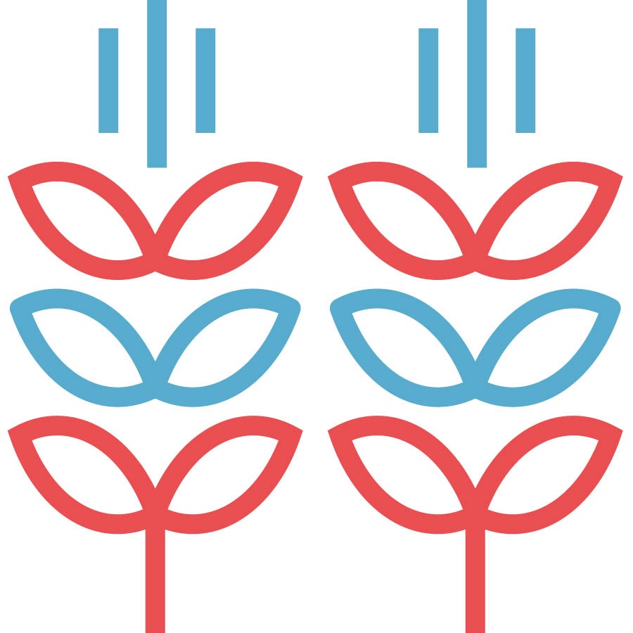 Nafaka