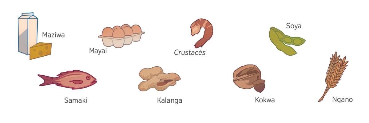 Maziwa, mayai, crustacés, soya, samaki, kalanga, kokwa, na ngano