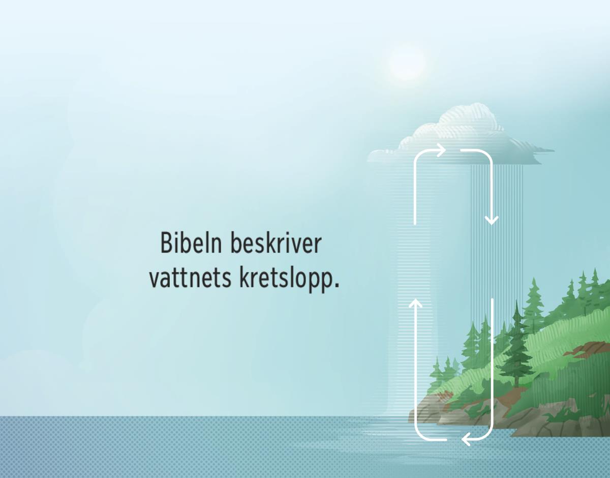 Bibeln beskriver vattnets kretslopp. Pilar visar hur vattnet rör sig mellan jorden och atmosfären.