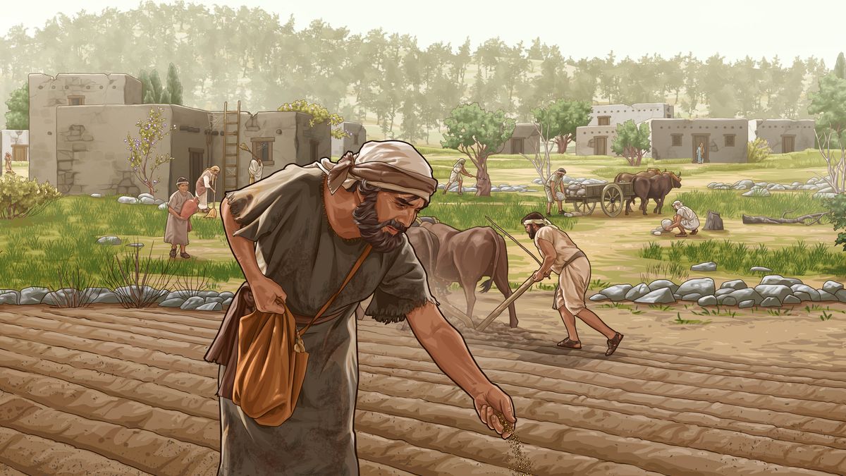 நிலத்தைப் பண்படுத்தி பயிர் செய்ய இஸ்ரவேலர்கள் கடினமாக உழைக்கிறார்கள். ஒருவர் விதை விதைக்கிறார், இன்னொருவர் நிலத்தை உழுகிறார்.