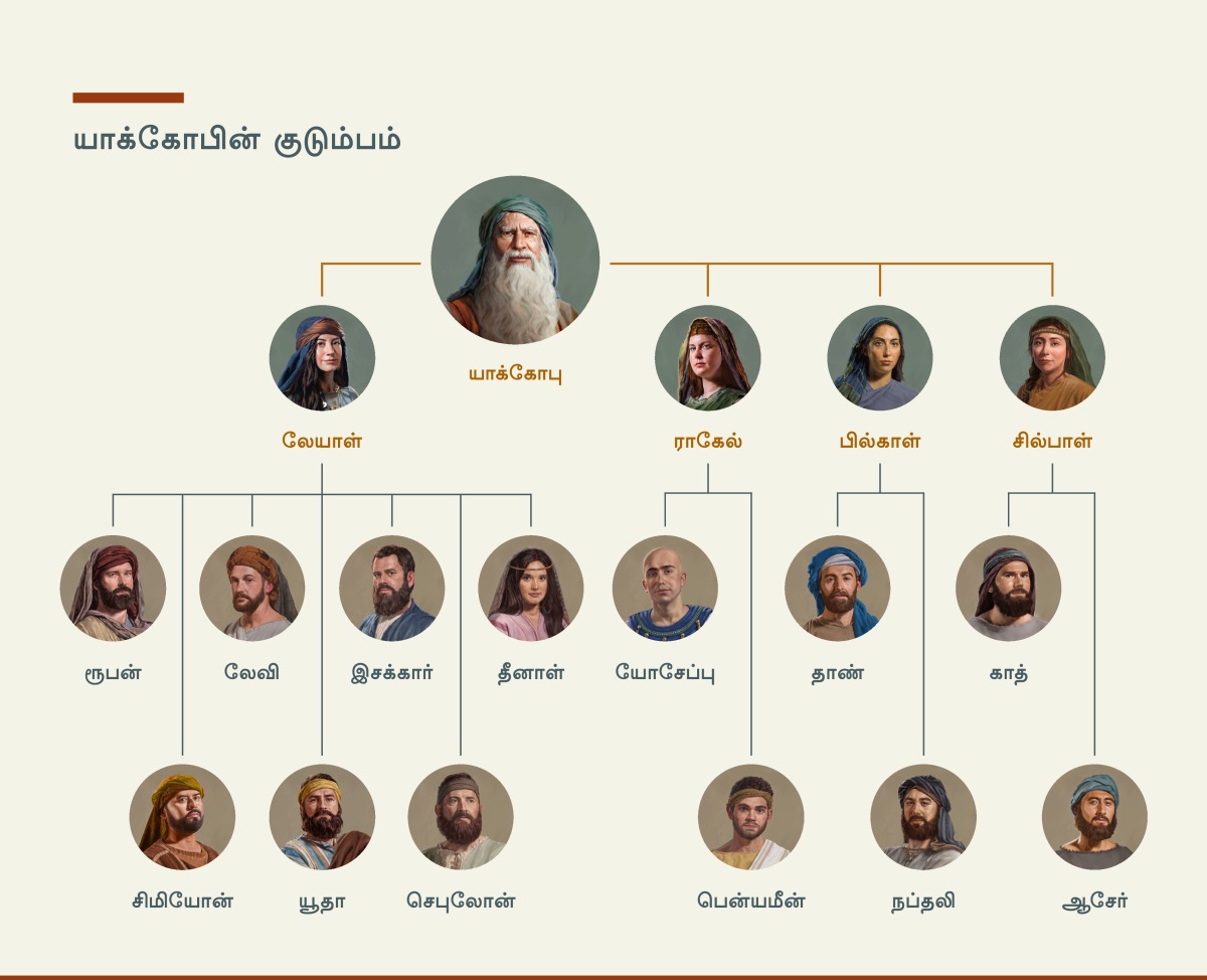 யாக்கோபின் குடும்பம் காட்டப்பட்டிருக்கிறது. அவருக்கு லேயாள், ராகேல் என்ற இரண்டு மனைவிகளும் பில்காள், சில்பாள் என்ற இரண்டு மறுமனைவிகளும் இருந்தார்கள். லேயாள் மூலம் அவருக்குப் பிறந்தவர்கள்: ரூபன், சிமியோன், லேவி, யூதா, இசக்கார், செபுலோன் மற்றும் தீனாள். ராகேல் மூலம் அவருக்குப் பிறந்தவர்கள்: யோசேப்பு மற்றும் பென்யமீன். பில்காள் மூலம் பிறந்தவர்கள்: தாண் மற்றும் நப்தலி. சில்பாள் மூலம் பிறந்தவர்கள்: காத் மற்றும் ஆசேர்.