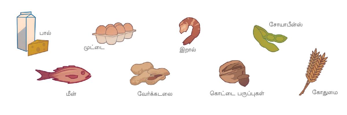 பால், முட்டை, இறால், சோயாபீன்ஸ், மீன், வேர்க்கடலை, கொட்டை பருப்புகள், கோதுமை