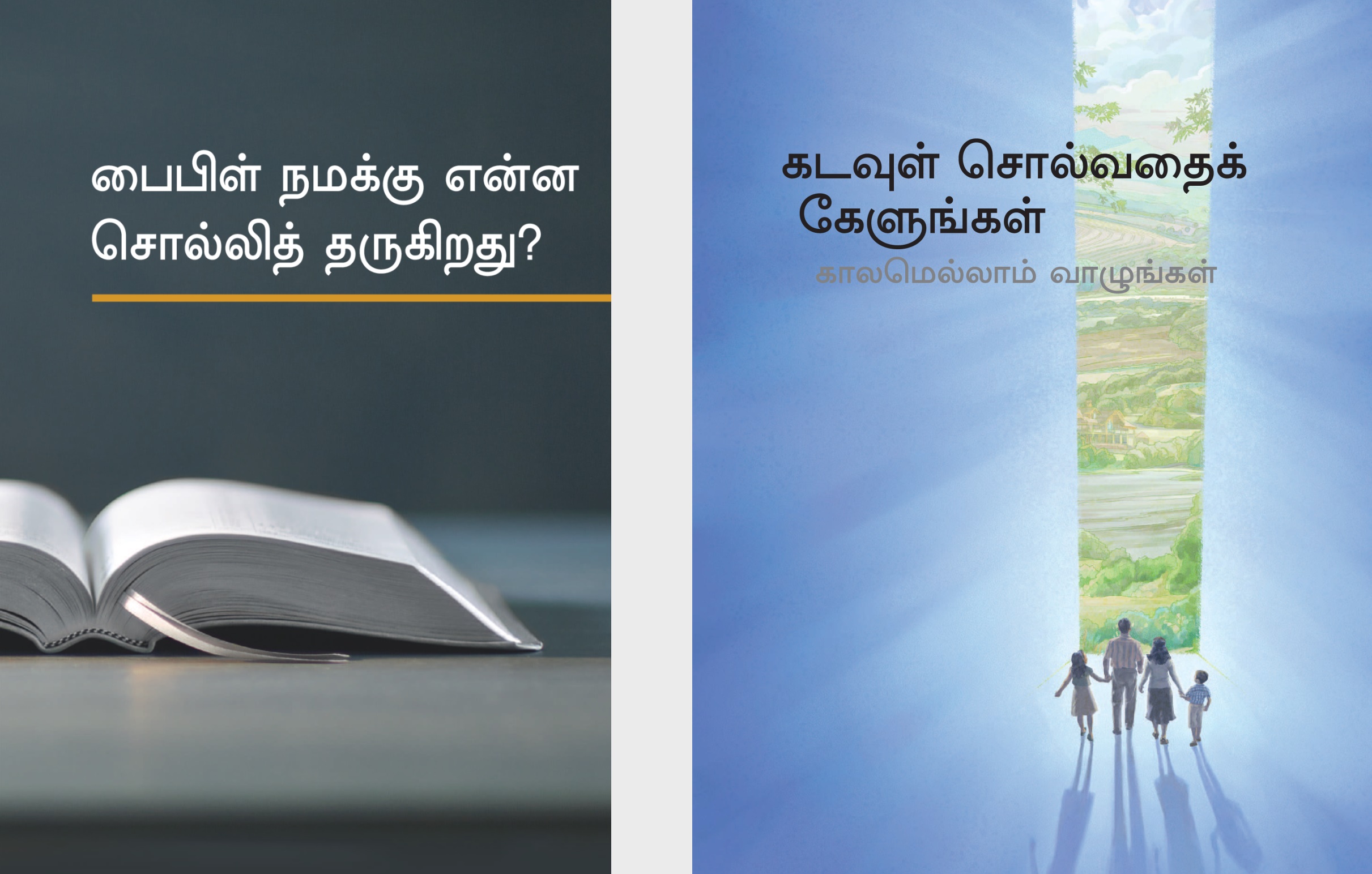 ‘பைபிள் நமக்கு என்ன சொல்லித் தருகிறது?’ என்ற புத்தகமும் ‘கடவுள் சொல்வதைக் கேளுங்கள் காலமெல்லாம் வாழுங்கள்’ என்ற சிற்றேடும்