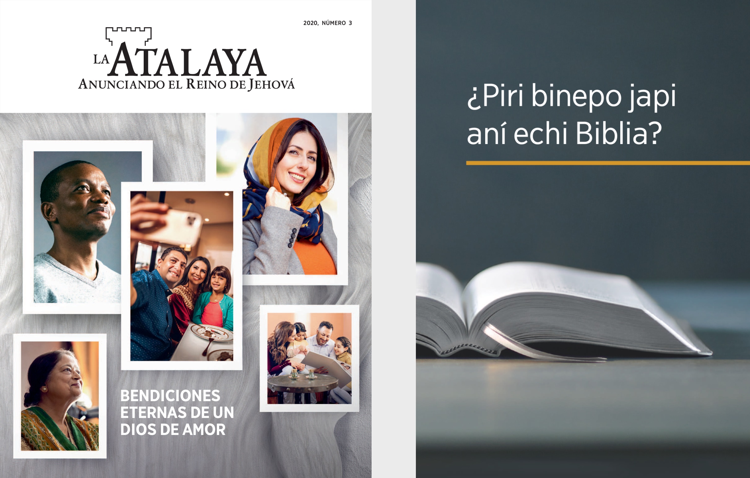 Echi libro ¿Piri binepo japi aní echi Biblia? alí La Atalaya número 3 del 2020.
