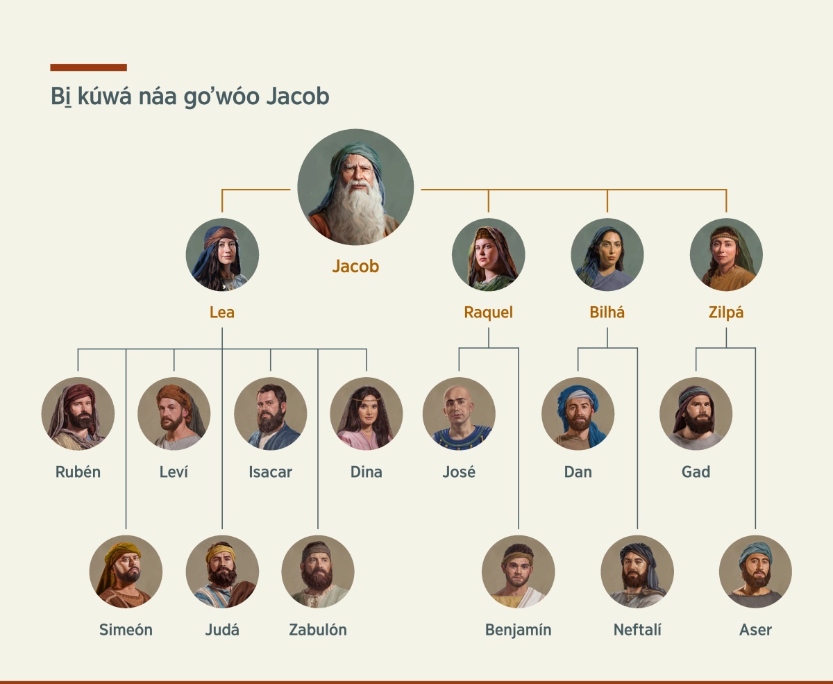Gráfica náa nakujmiin bi̱ naguwáʼ náa goʼwóo Jacob, bi̱ nigiʼdiin a̱jmi̱i̱n gu̱ʼwi̱i̱, Lea ga̱jma̱a̱ Raquel, ma̱ngaa a̱jmi̱i̱n gu̱ʼú ñawiin, Bilhá ga̱jma̱a̱ Zilpá. Lea nigiʼdaa Rubén, Simeón, Leví, Judá, Isacar, Zabulón ga̱jma̱a̱ Dina; Raquel nigiʼdaa José ga̱jma̱a̱ Benjamín, Bilhá nigiʼdaa Dan ga̱jma̱a̱ Neftalí. Zilpá nigiʼdaa Gad ga̱jma̱a̱ Aser.