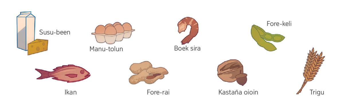 Susu-been, manu-tolun, boek sira, fore-keli, ikan, fore-rai, kastaña oioin, no trigu