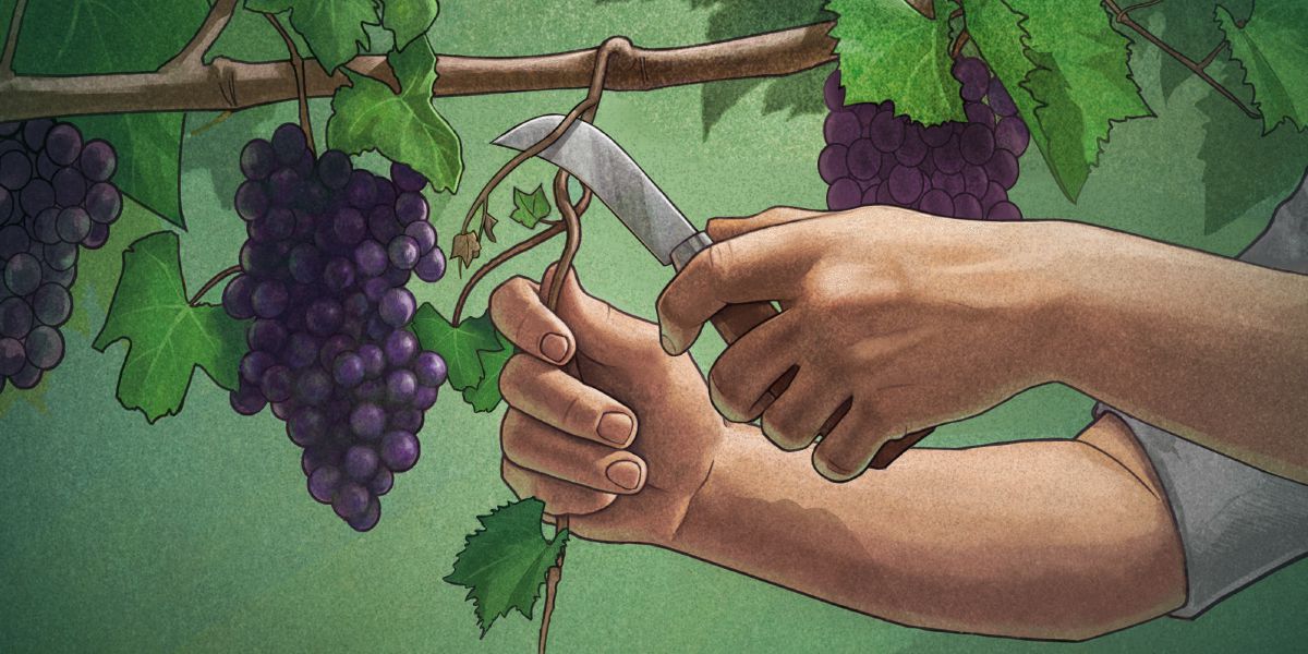 Uvas-sanak neʼebé la fó fuan tesi sai tiha husi uvas-hun