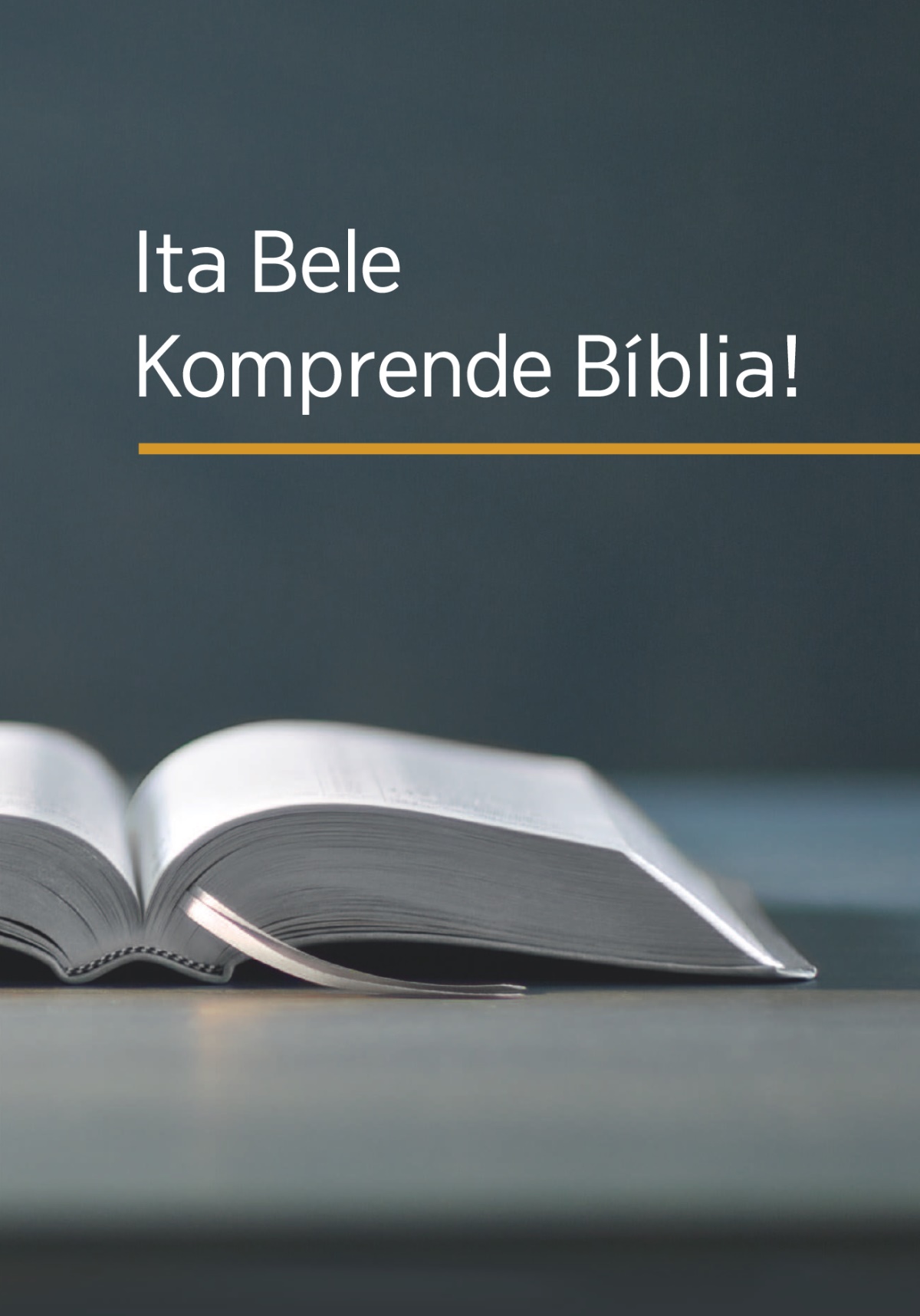Livru ‘Ita bele komprende Bíblia!’