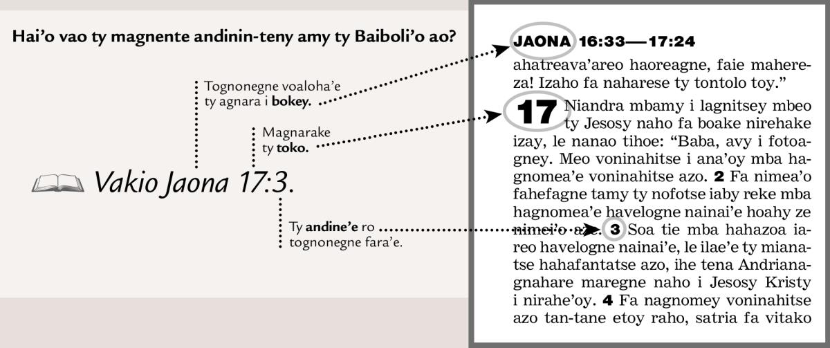 Fomba fagneteagne andinin-teny
