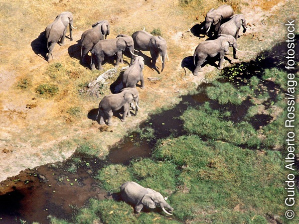 [ภาพ​หน้า 3]