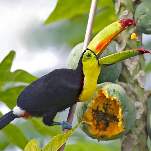 [ภาพ​หน้า 9]