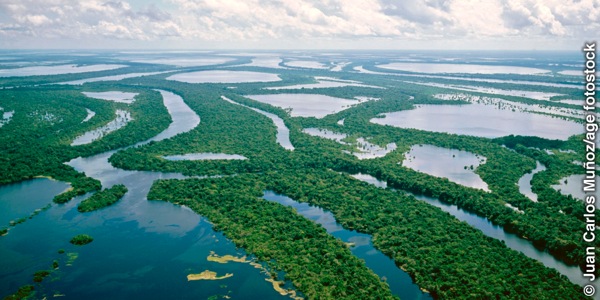 [ภาพ​หน้า 9]