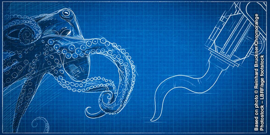 หมึก​ยักษ์​กับ​แขน​หุ่น​ยนต์