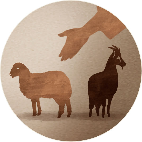 การ​แยก​แกะ​ออก​จาก​แพะ