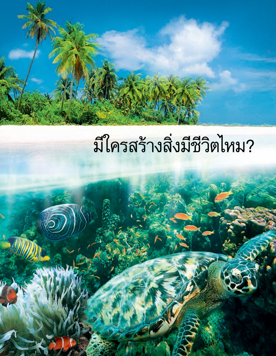 มี​ใคร​สร้าง​สิ่ง​มี​ชีวิต​ไหม?