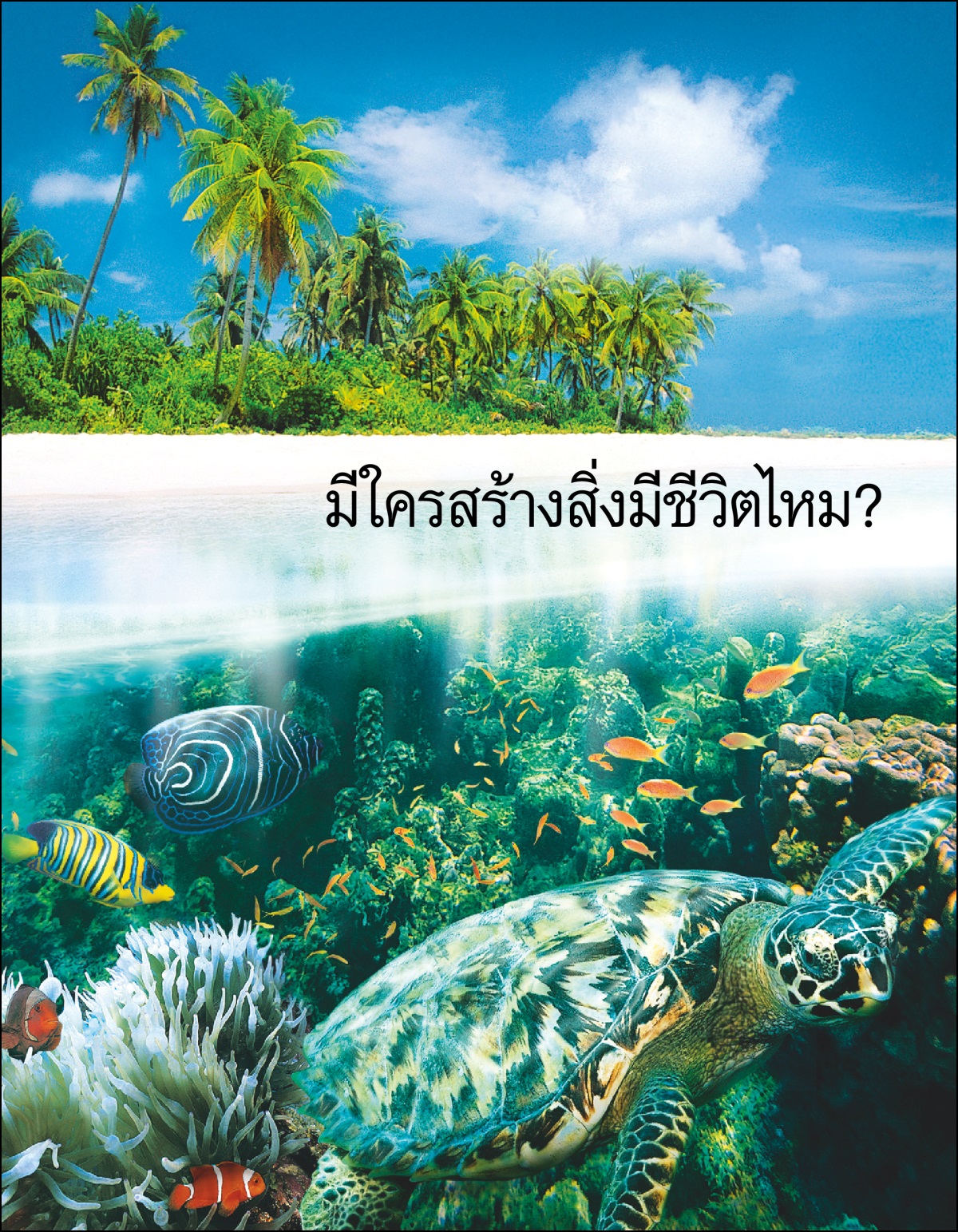 จุลสาร “มี​ใคร​สร้าง​สิ่ง​มี​ชีวิต​ไหม?”