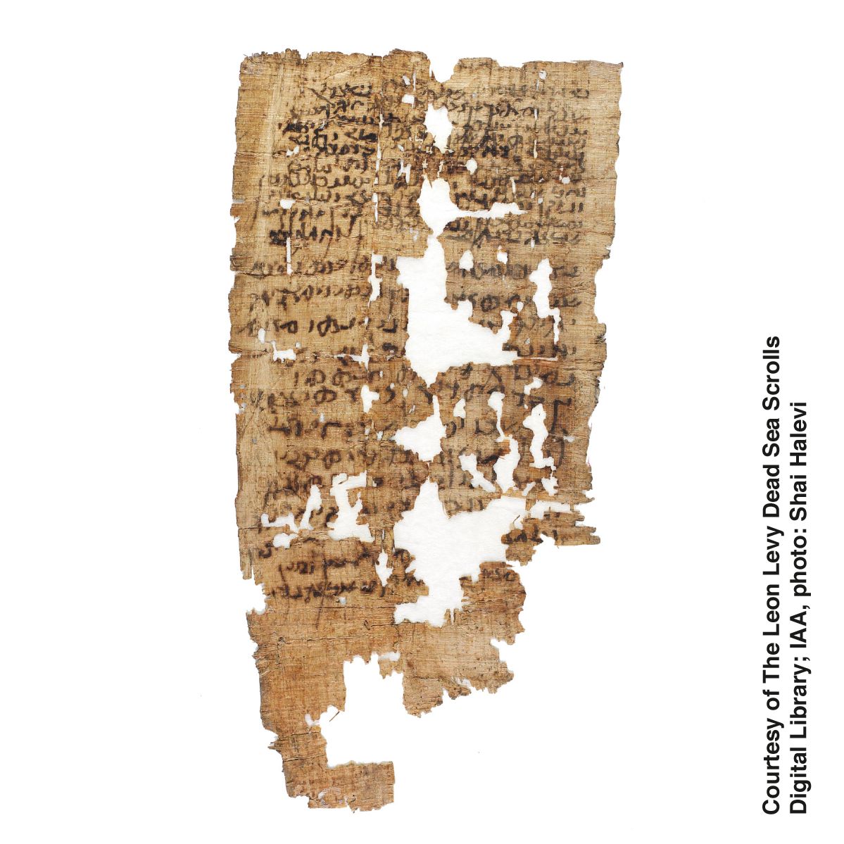 หนังสือหย่า