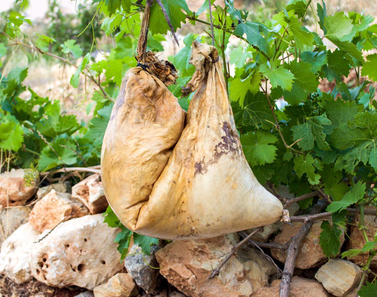 ถุงหนังใส่เหล้าองุ่น